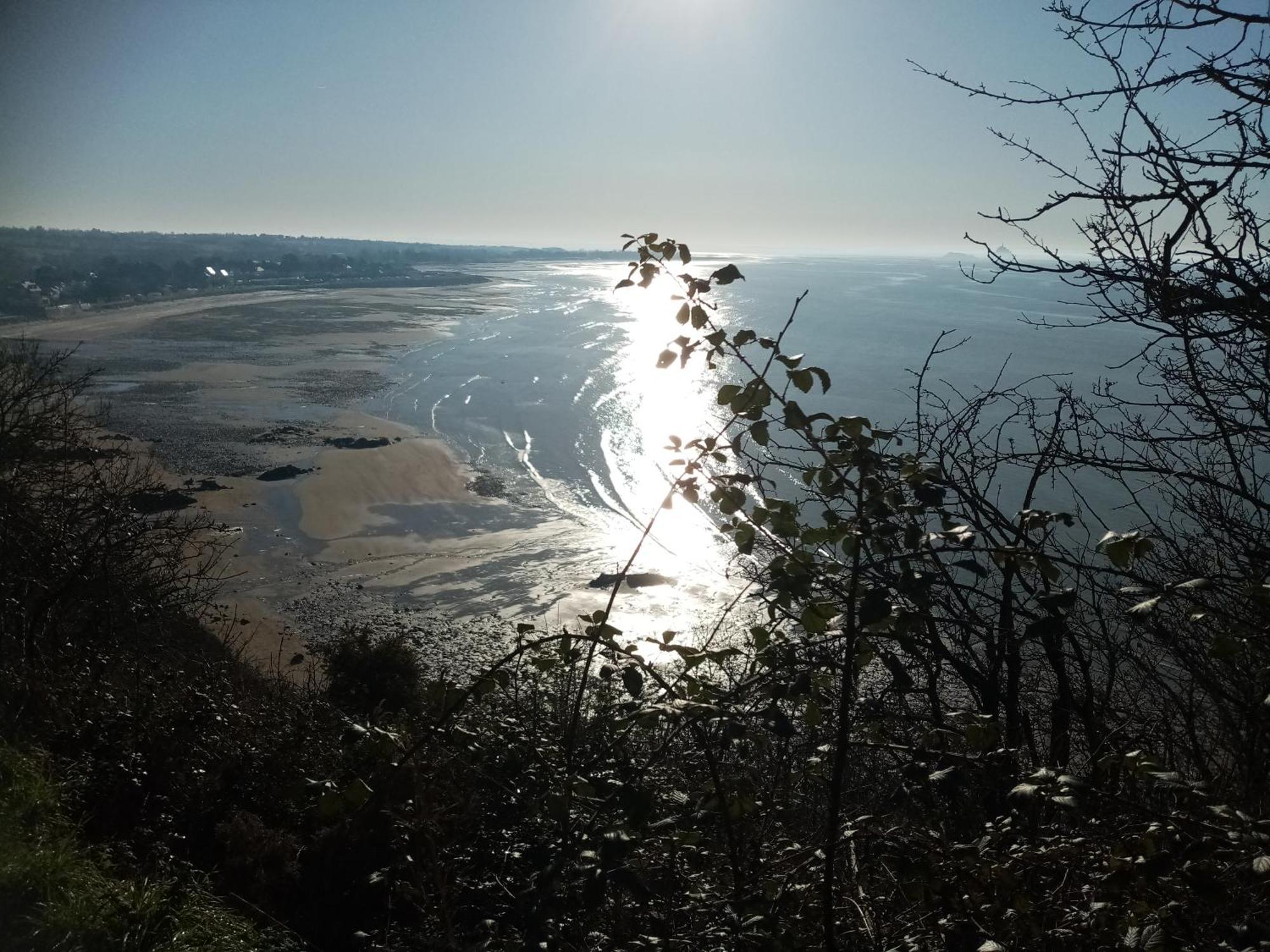 La Campagne Au Bord De La Mer, Chambre Chez L'Habitant Champeaux Ngoại thất bức ảnh