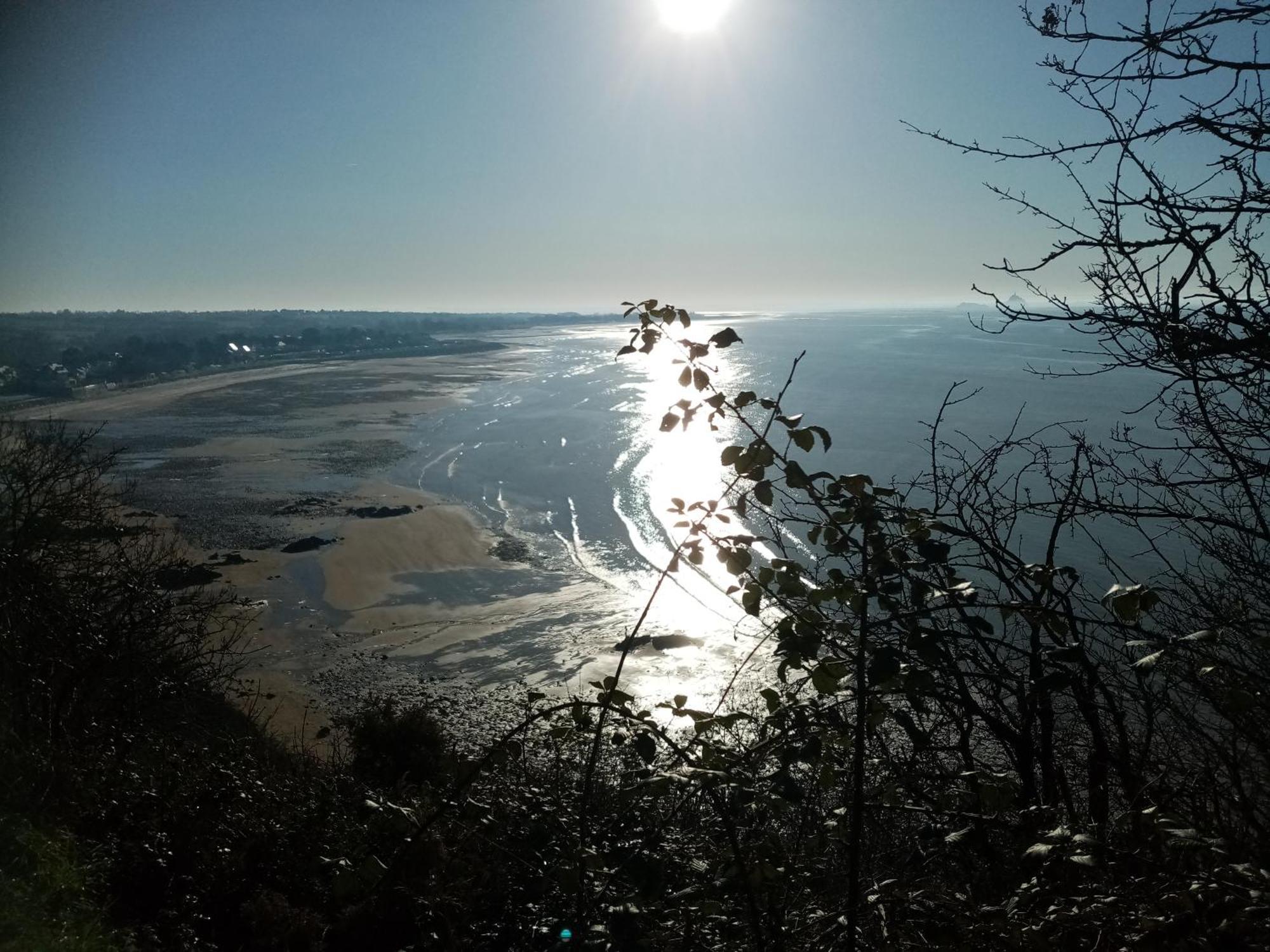 La Campagne Au Bord De La Mer, Chambre Chez L'Habitant Champeaux Ngoại thất bức ảnh